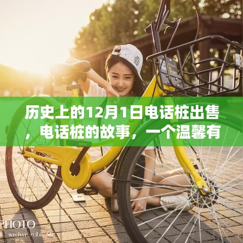 電話樁的故事，回憶之旅中的溫馨出售日——?dú)v史上的十二月一日