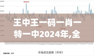 王中王一碼一肖一特一中2024年,全面分析說明_投資版53.721-6