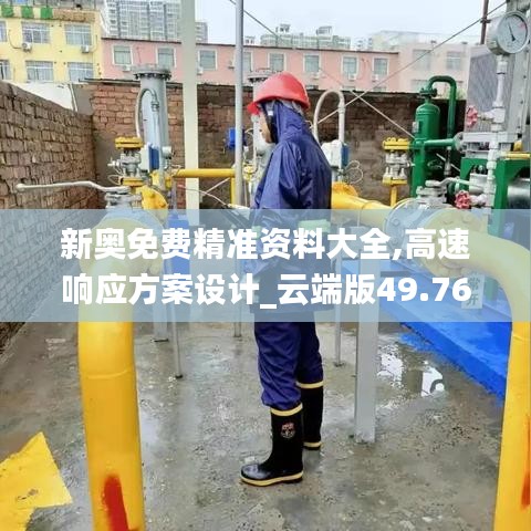 新奧免費(fèi)精準(zhǔn)資料大全,高速響應(yīng)方案設(shè)計(jì)_云端版49.763-7