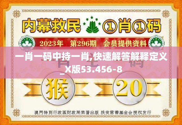 一肖一碼中持一肖,快速解答解釋定義_X版53.456-8