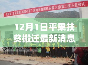 平果扶貧搬遷最新動(dòng)態(tài)，積極進(jìn)展報(bào)告（12月1日更新）