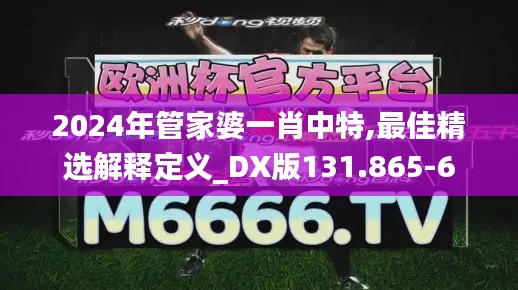 2024年管家婆一肖中特,最佳精選解釋定義_DX版131.865-6