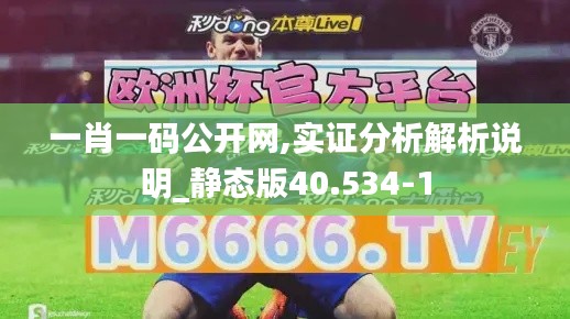 一肖一碼公開網,實證分析解析說明_靜態(tài)版40.534-1
