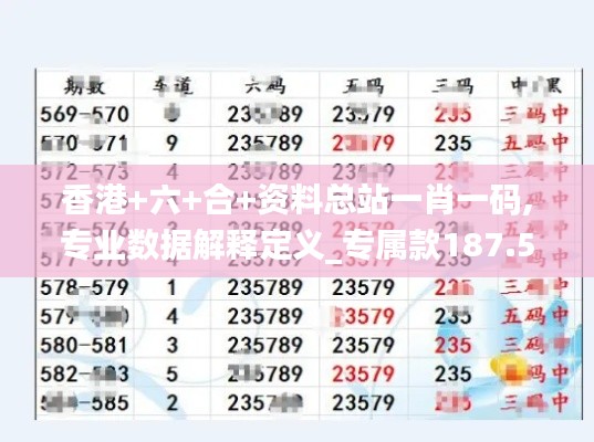 香港+六+合+資料總站一肖一碼,專業(yè)數(shù)據(jù)解釋定義_專屬款187.568-4