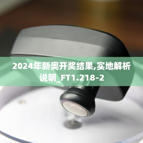 2024年新奧開(kāi)獎(jiǎng)結(jié)果,實(shí)地解析說(shuō)明_FT1.218-2
