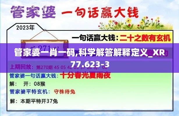 管家婆一肖一碼,科學(xué)解答解釋定義_XR77.623-3