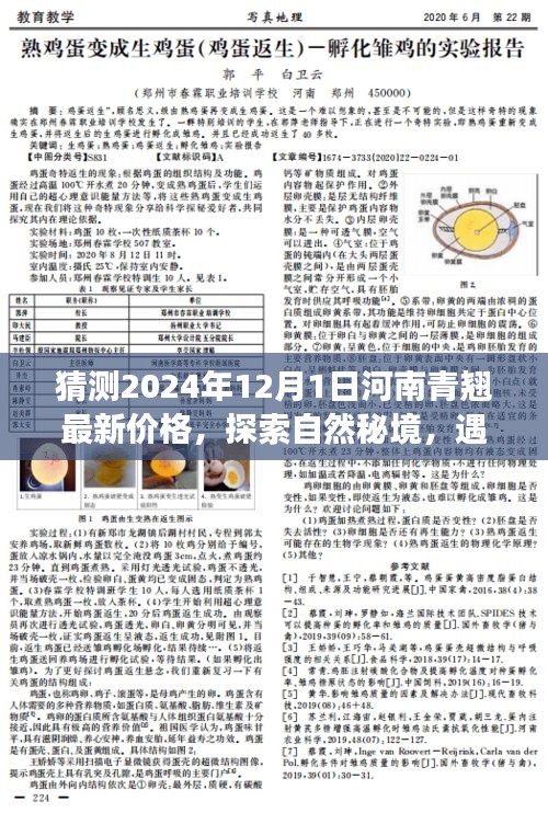 2024年河南青翹最新價格預測，探尋自然秘境中的青翹之舞