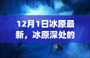 冰原深處的驚喜與小巷美食驛站，最新探索報告（12月1日）