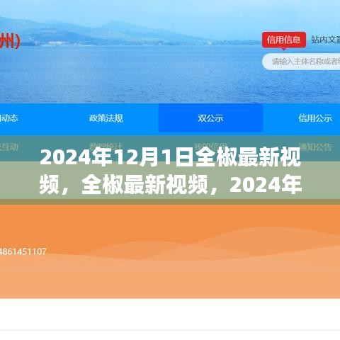 2024年視角，全椒最新視頻探討與解析