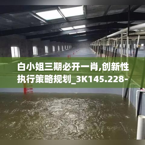 白小姐三期必開一肖,創(chuàng)新性執(zhí)行策略規(guī)劃_3K145.228-6