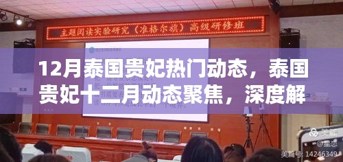 泰國貴妃十二月動態(tài)深度解析與觀點闡述