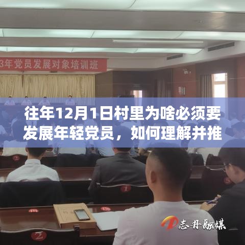 發(fā)展年輕黨員，推動(dòng)鄉(xiāng)村振興，村里發(fā)展年輕黨員的策略與步驟指南