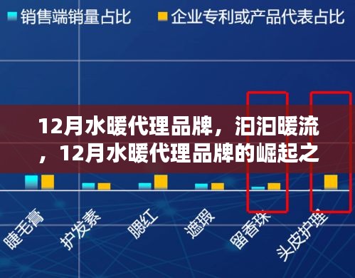 12月水暖代理品牌，汩汩暖流中的崛起之路