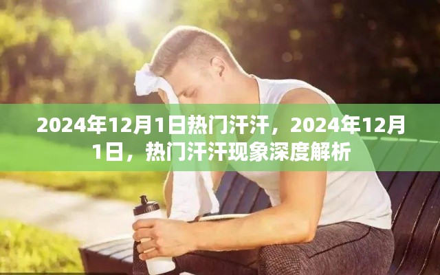 深度解析，熱門汗汗現(xiàn)象在2024年12月1日的盛行