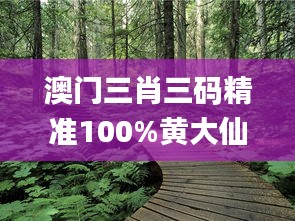 澳門三肖三碼精準(zhǔn)100%黃大仙337期,高速解析方案響應(yīng)_桌面版20.908-9
