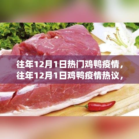 深度剖析，歷年12月1日雞鴨疫情熱議與觀點(diǎn)解析