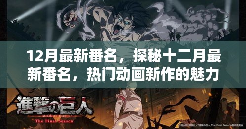 十二月熱門(mén)新番探秘，魅力解析與獨(dú)家番名揭秘