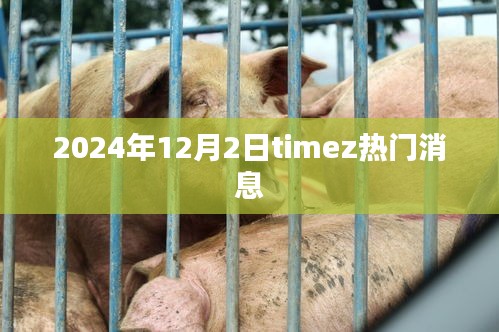 2024年12月2日timez熱門消息