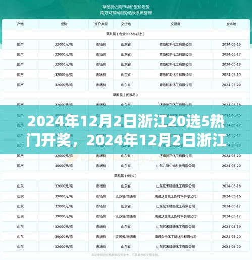 2024年12月2日浙江20選5熱門開(kāi)獎(jiǎng)，2024年12月2日浙江20選5彩票熱門開(kāi)獎(jiǎng)分析與預(yù)測(cè)