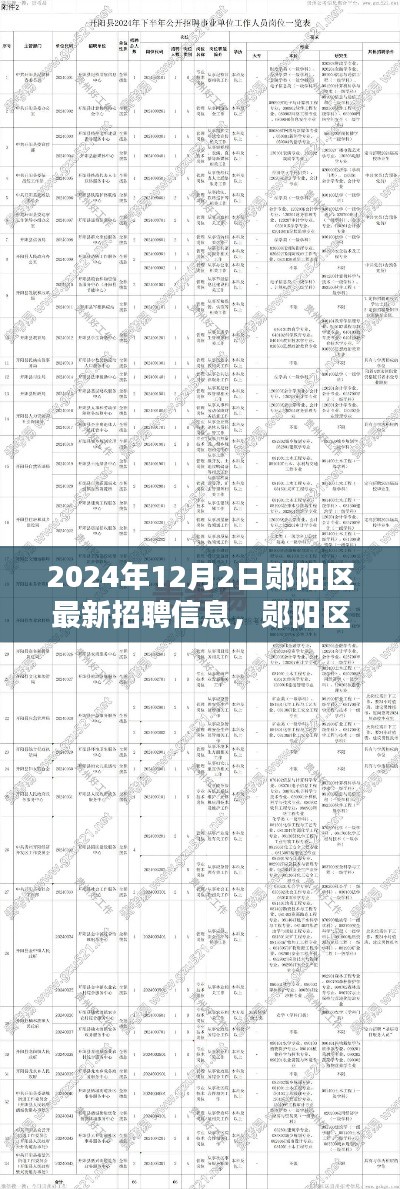 2024年鄖陽區(qū)最新招聘信息發(fā)布，重塑職業(yè)格局的契機來臨