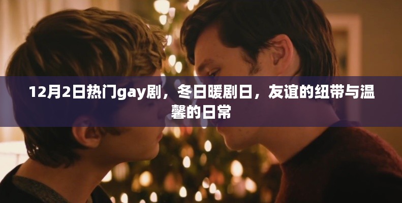 冬日暖劇日，熱門gay劇中的友誼紐帶與溫馨日常（12月2日必看劇）