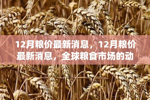 全球糧食市場(chǎng)最新動(dòng)態(tài)，12月糧價(jià)分析與展望