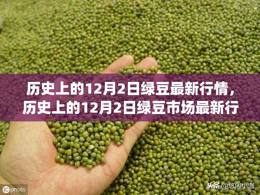 歷史上的12月2日綠豆行情概覽，最新市場動態(tài)速遞