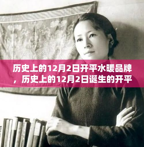 歷史上的12月2日誕生的開平水暖品牌，深度評測與介紹