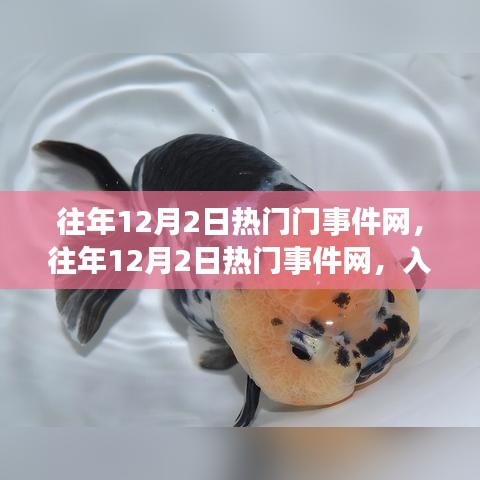 往年12月2日熱門事件網(wǎng)概覽，入門指南與操作教程