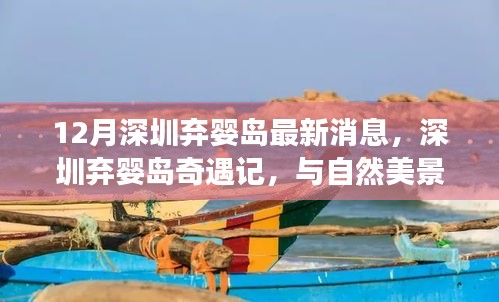 深圳棄嬰島最新動(dòng)態(tài)，與自然美景的邂逅，尋找內(nèi)心平和之旅