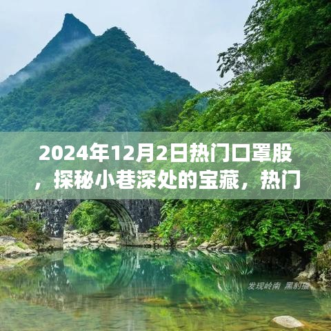 探秘口罩股背后的獨特故事，小巷深處的寶藏，熱門口罩行業(yè)揭秘（2024年12月2日）