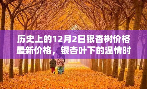銀杏葉下的溫情時光，銀杏樹價格更新與溫馨故事回顧
