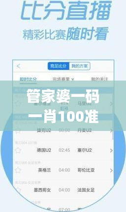 管家婆一碼一肖100準(zhǔn)338期,綜合數(shù)據(jù)解析說明_kit87.473-2