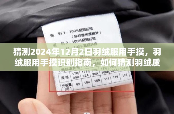 羽絨服用手摸識別指南，羽絨質(zhì)量與選購技巧全解析（初學者與進階用戶適用）