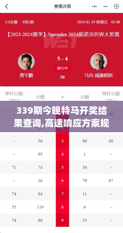 339期今晚特馬開獎結(jié)果查詢,高速響應方案規(guī)劃_影像版4.412-2
