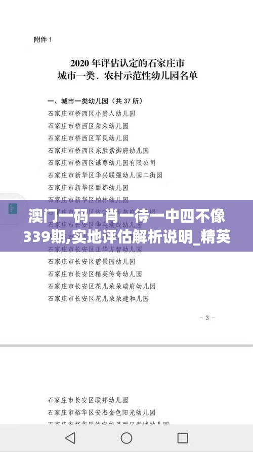 澳門一碼一肖一待一中四不像339期,實地評估解析說明_精英版76.290-3