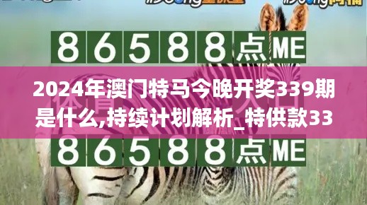2024年澳門特馬今晚開獎339期是什么,持續(xù)計劃解析_特供款33.849-1