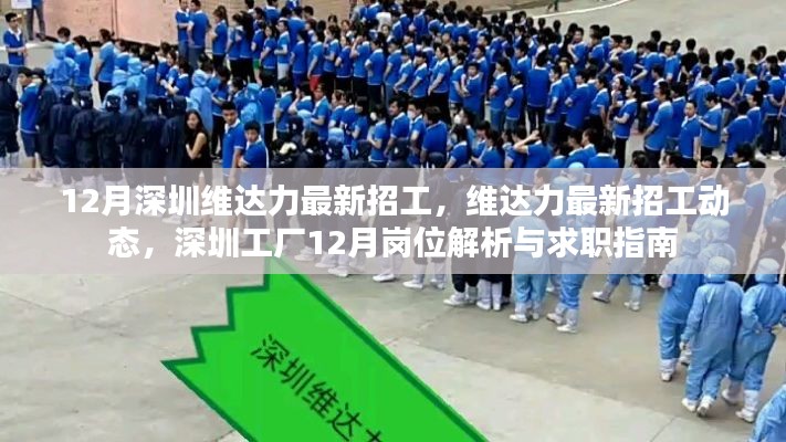 深圳維達力最新招工動態(tài)與崗位解析，求職指南（12月版）