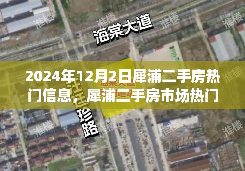 大雪紛飛 第5頁
