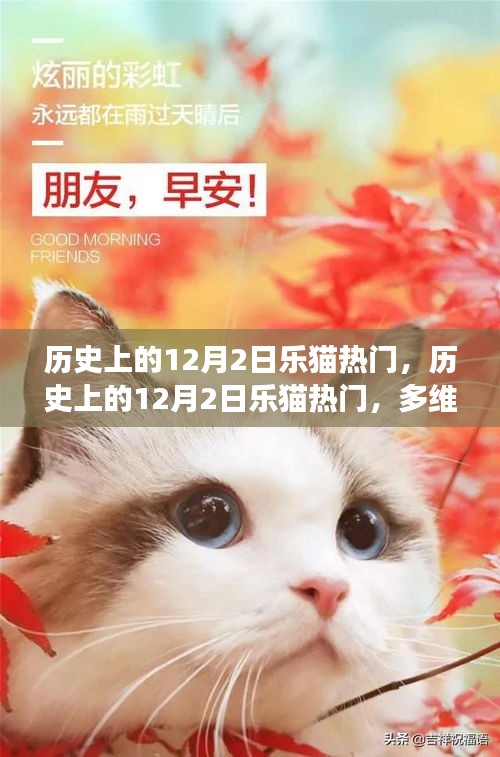 多維度視角下的觀點(diǎn)碰撞，歷史上的樂(lè)貓熱門事件回顧