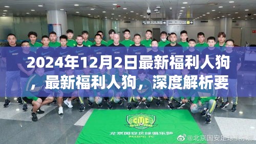 最新福利人狗趨勢(shì)深度解析與未來展望（2024年最新版）