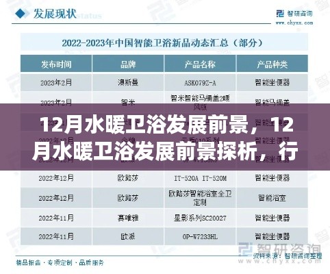12月水暖衛(wèi)浴行業(yè)發(fā)展趨勢深度解析，前景展望與個人洞察