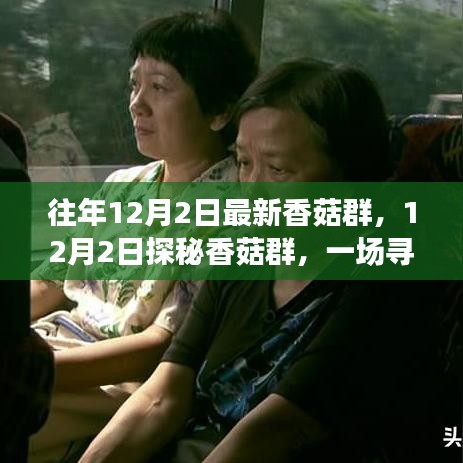 探秘香菇群，尋找內(nèi)心平靜的奇妙旅程之旅