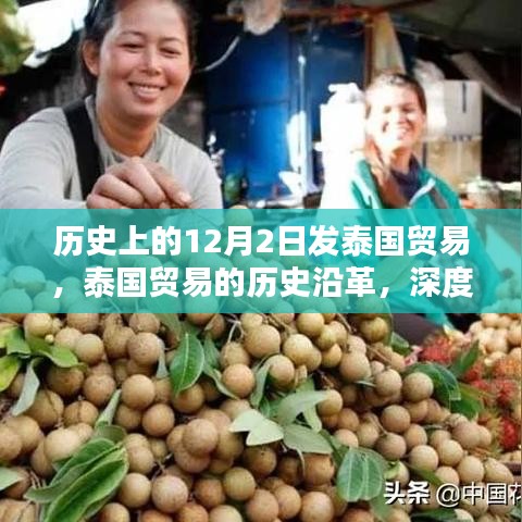 泰國(guó)貿(mào)易的歷史沿革，深度解析十二月二日貿(mào)易特點(diǎn)與體驗(yàn)回顧