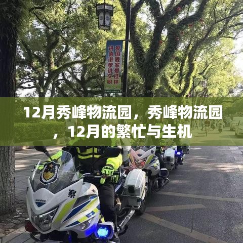 12月秀峰物流園的繁忙與生機(jī)