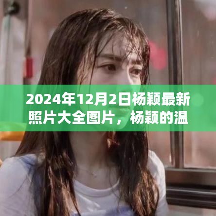 楊穎溫馨日常，冬日陽光下的美好瞬間（最新照片大全）