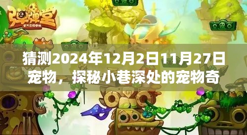 時(shí)光巷弄的寵物奇緣，探秘2024年12月寵物樂(lè)園的神秘面紗