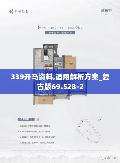 339開(kāi)馬資料,適用解析方案_復(fù)古版69.528-2