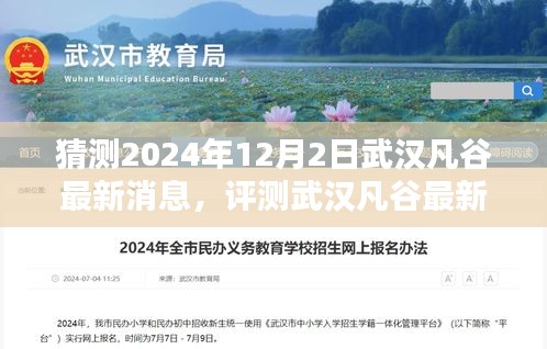 武漢凡谷最新消息解析，特性、體驗、競品對比與目標用戶群體分析