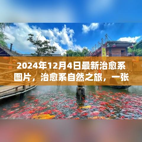 心靈治愈之旅，自然之美喚醒心靈，啟程尋找內(nèi)心的桃花源（最新治愈系圖片分享）